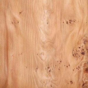 Yew - Exotic Hardwoods