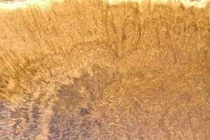 mallee burl - Exotic Hardwoods