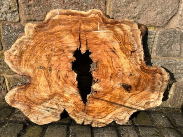 Olivewood  28" x 36" x 2" Approx- Part Seasoned - OL1