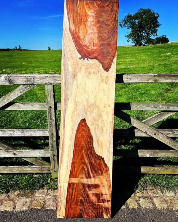 cocobolo