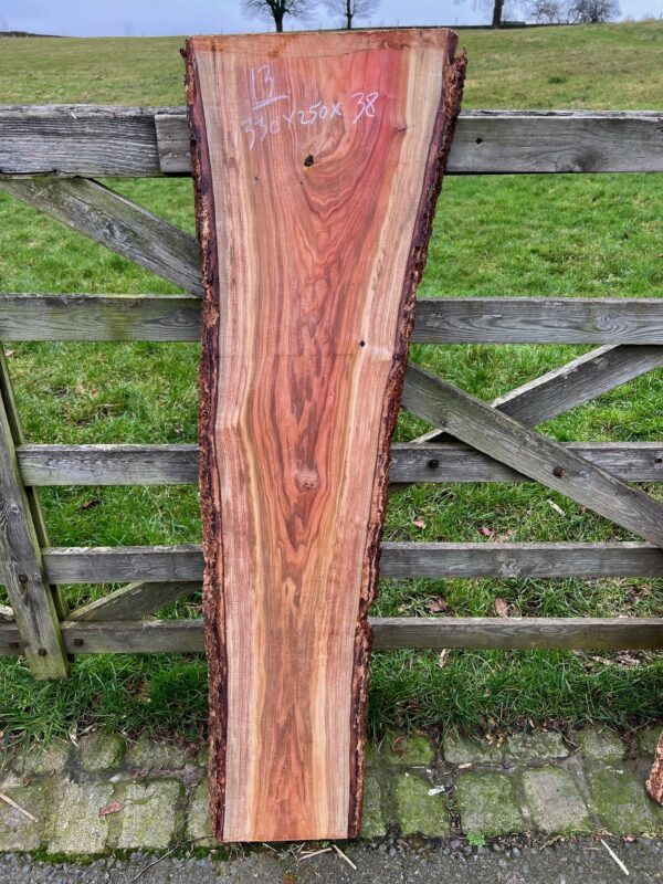 Pink Ivory Number 13 - 1330 x 250 x 38 mm