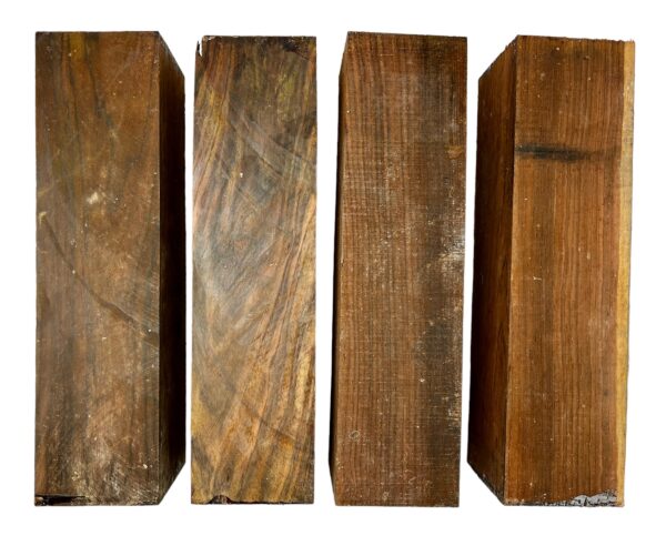 Nicaraguan Cocobolo