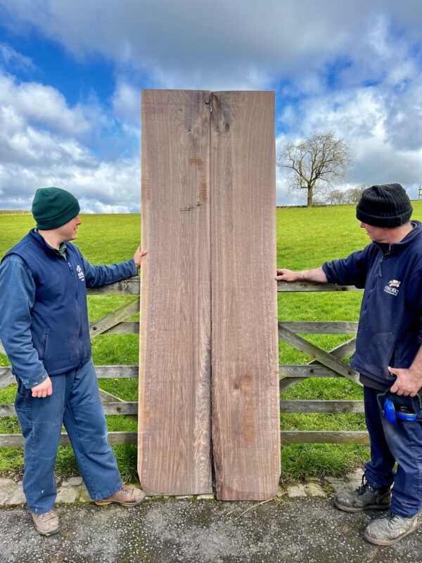 American Black Walnut