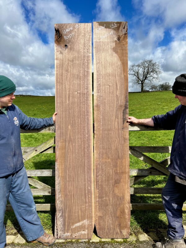 American Black Walnut