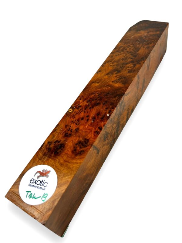 Thuya Burr Woodturning Square