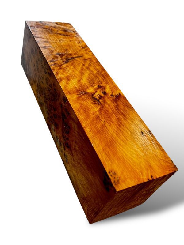 Thuya Burr