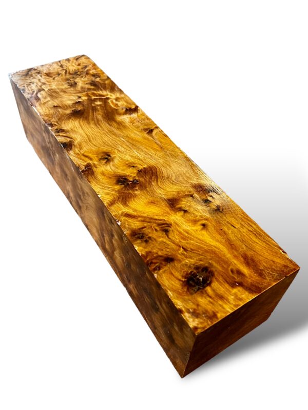 Thuya Burr