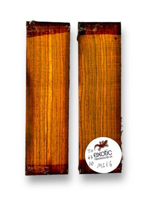 Mexican Cocobolo