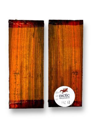Mexican Cocobolo