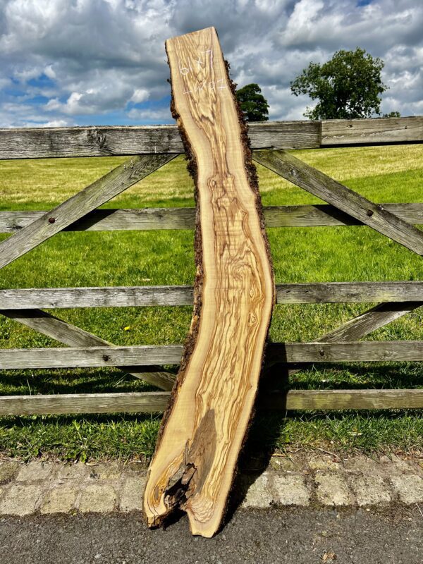 Olivewood