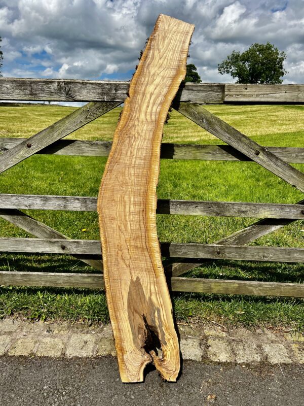 Olivewood