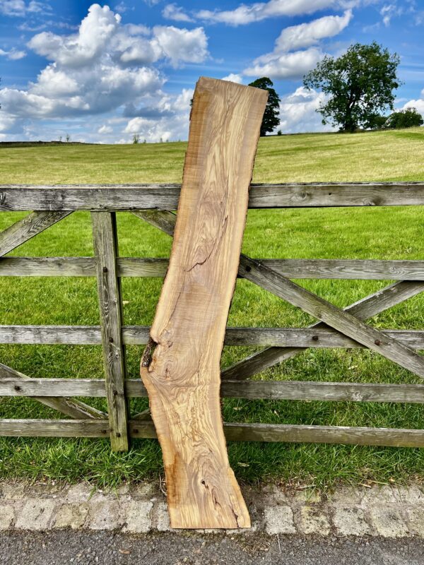 Olivewood