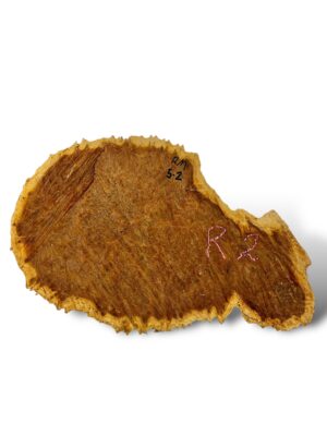 Red Mallee