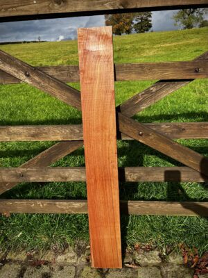 Grey Ironbark