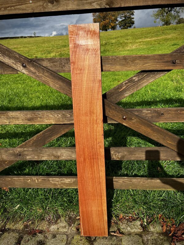 Grey Ironbark