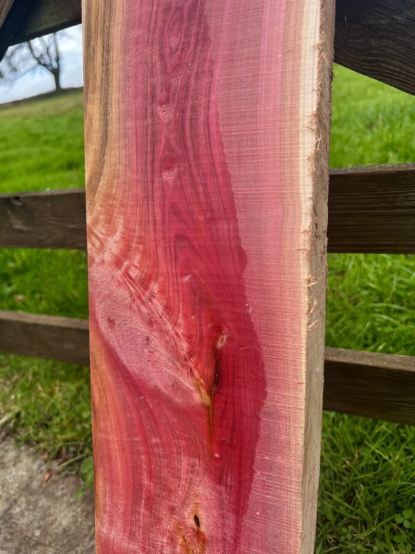 Pink Ivory