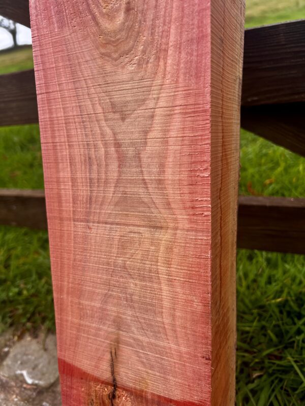 Pink Ivory
