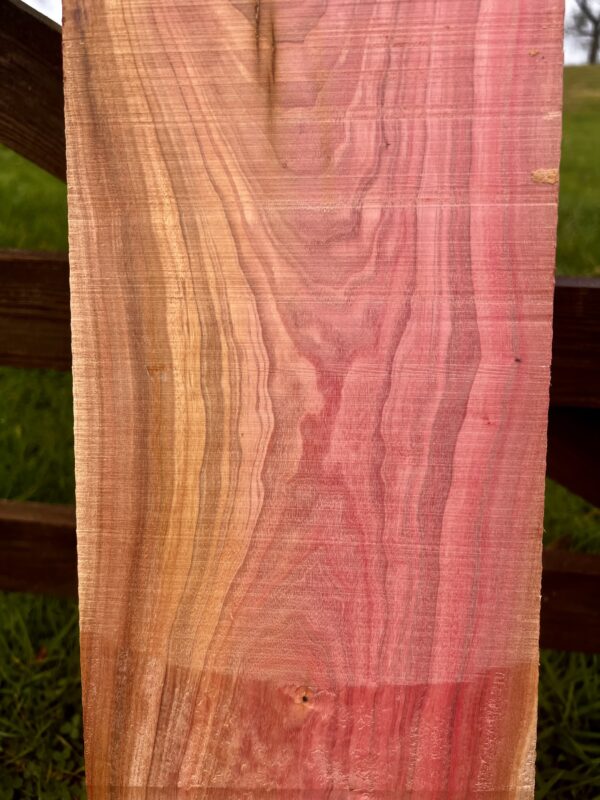 Pink Ivory