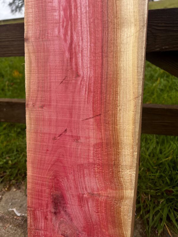 Pink Ivory