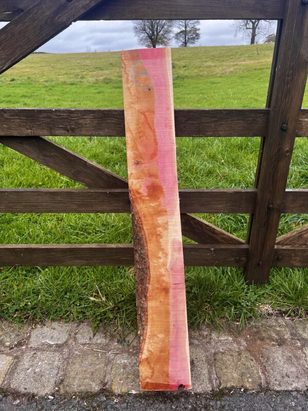Pink Ivory