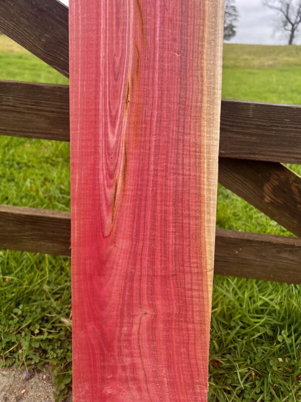 Pink Ivory