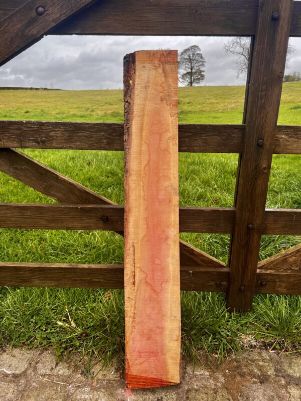 Pink Ivory