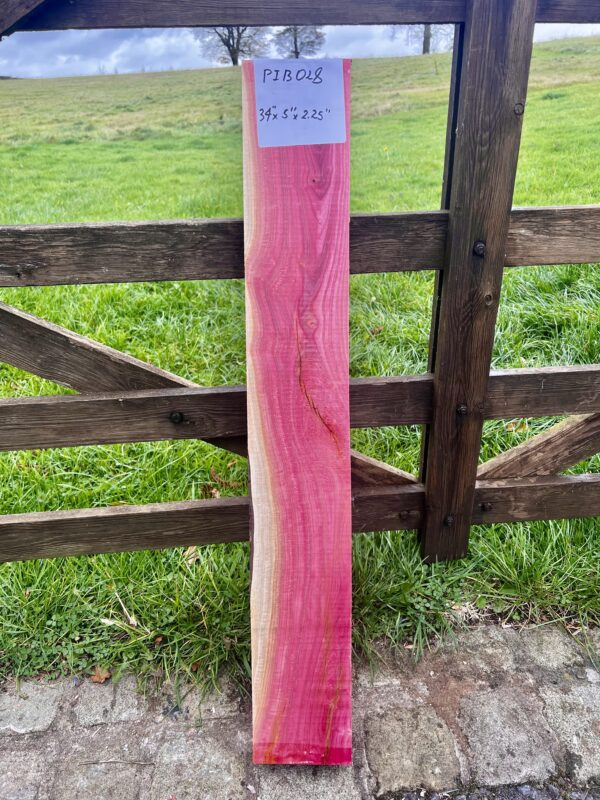 Pink Ivory