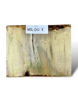Holly