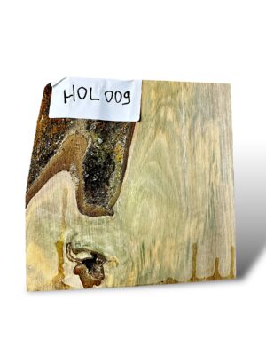 Holly