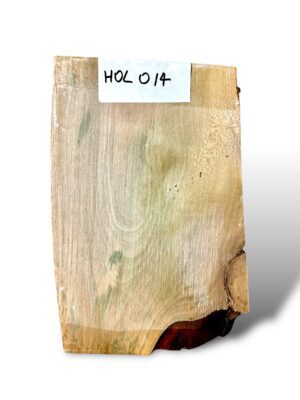 Holly