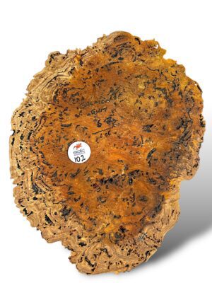 Salmon Gum Burl