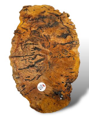 Salmon Gum Burl