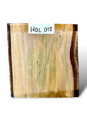Holly