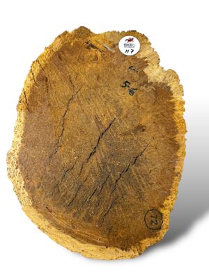 Red Mallee Burr