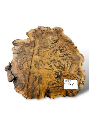 Salmon Gum Burl