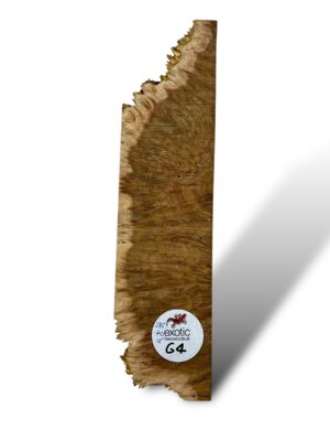 Brown Mallee Burr