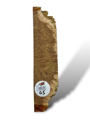Brown Mallee Burr