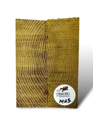 Mulberry