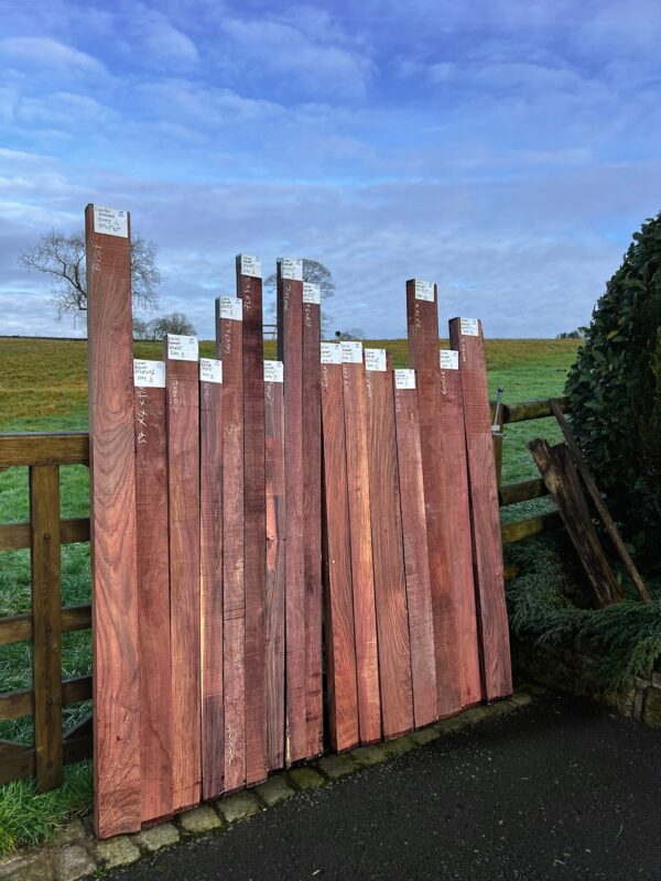 Indian Rosewood