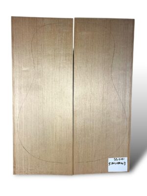 Sitka Spruce
