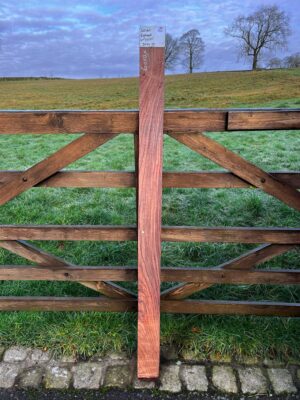 Indian Rosewood