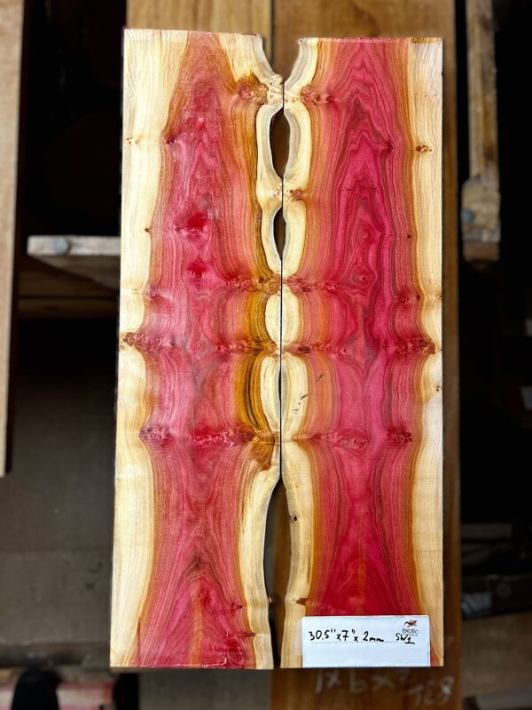 Pink Ivory