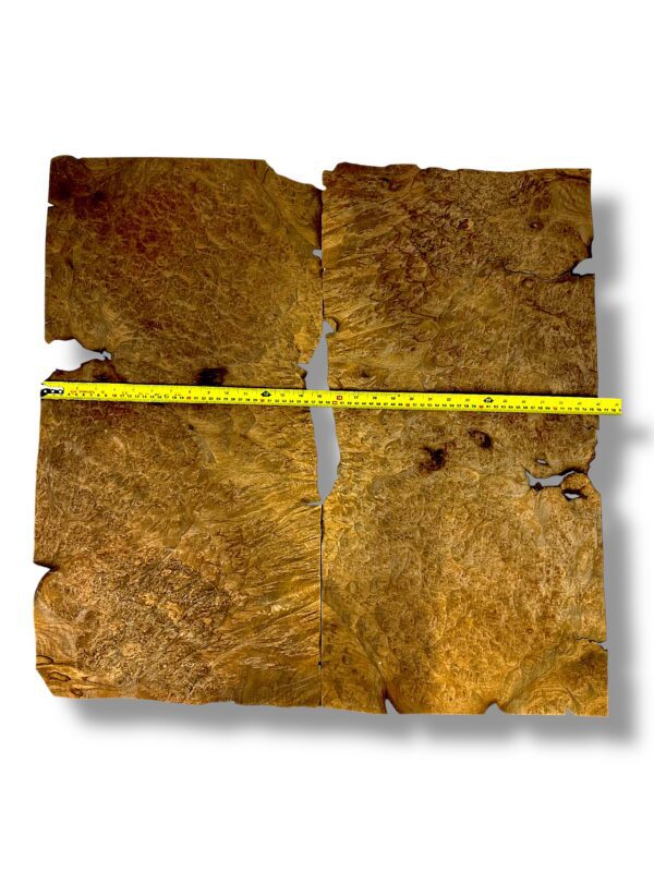 American Walnut Burr