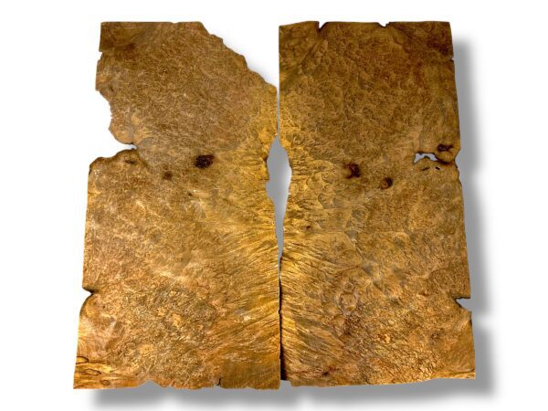 American Walnut Burr