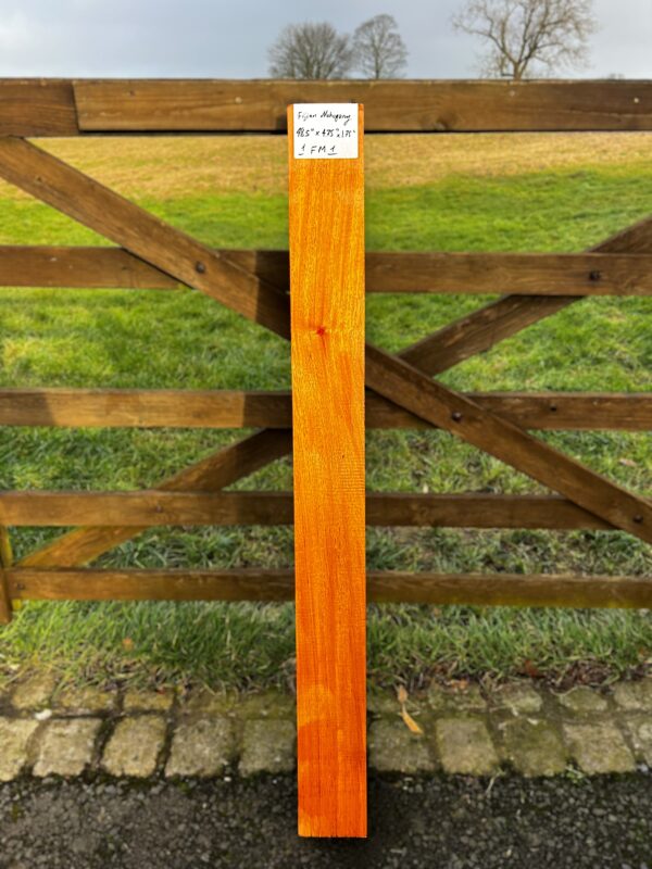 Fijian Mahogany