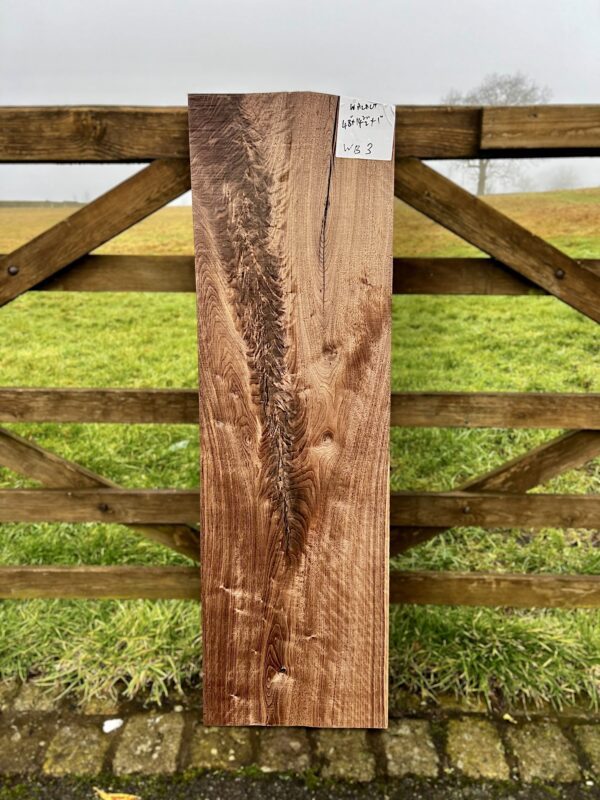 Walnut