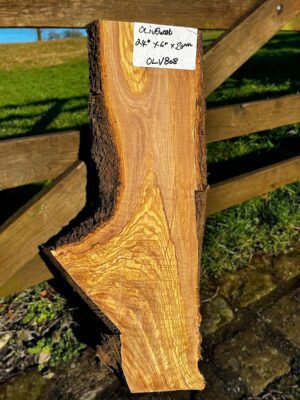 Olivewood