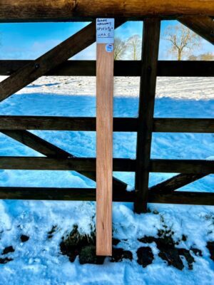 Honduras mahogany