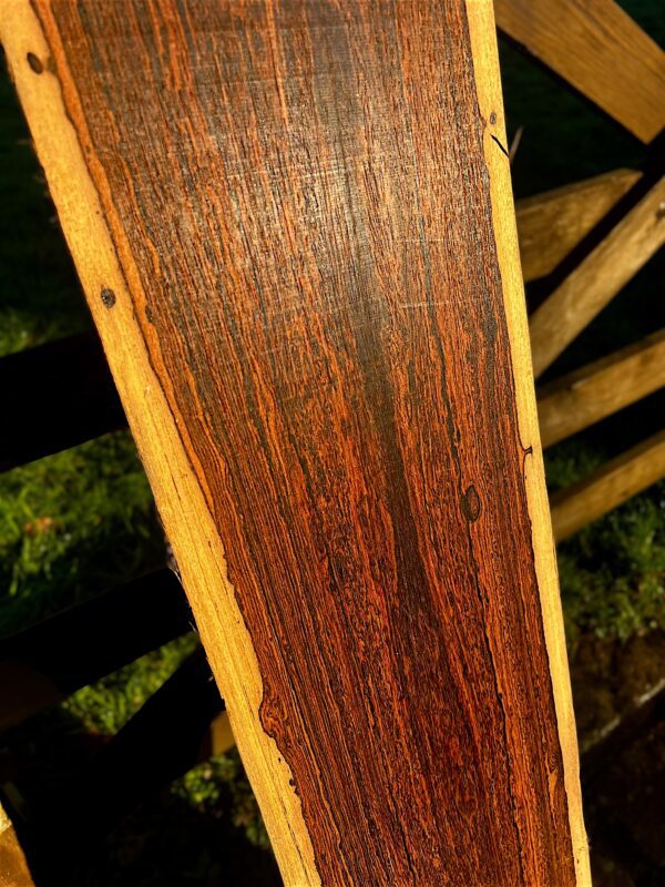 Mexican Rosewood Bocote