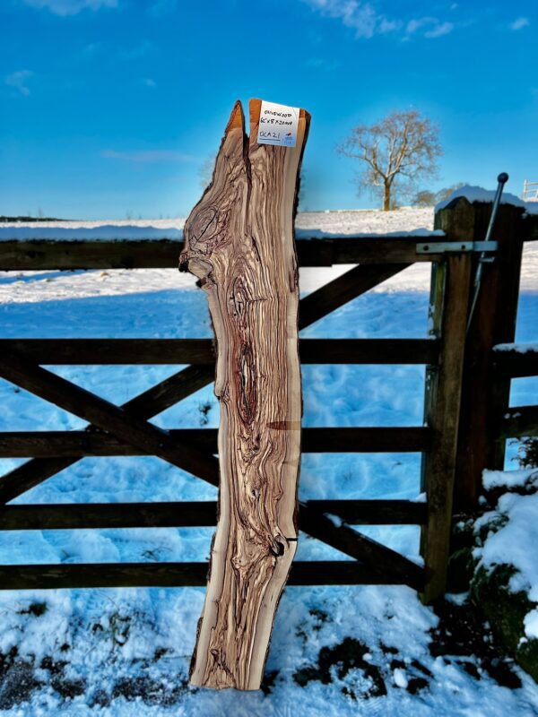 olivewood